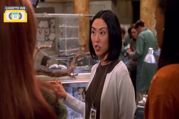 Spider Man in Punjabi