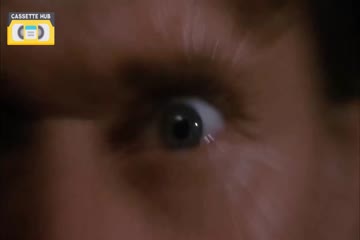 Spider Man in Punjabi