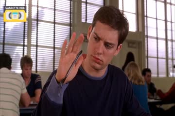 Spider Man in Punjabi