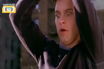 Spider Man in Punjabi