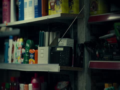 Stolen Heist of the Century 2025 Dubbed in Hindi