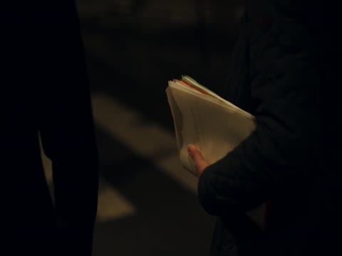 Stolen Heist of the Century 2025 Dubbed in Hindi