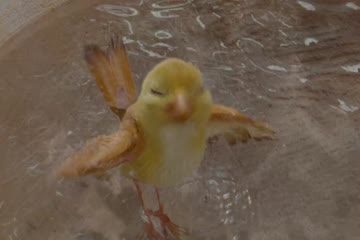 Stuart Little 2 2002 dubb in hindi