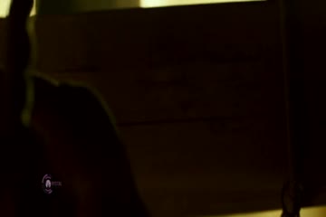 Sultan 2016 DvdRip Hd