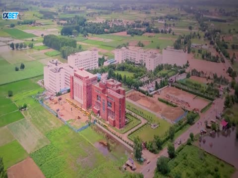 Sunny Di Honey 2026 Punjabi