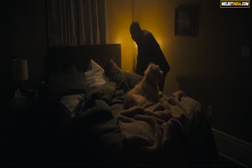 Synchronic 2019 dubbed in hindi