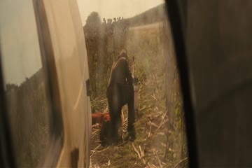 Texas Chainsaw Massacre 2022 dubb in hindi