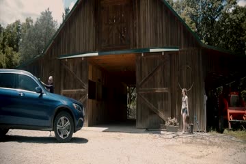 The Alpha Test 2020 in Hindi dubbed