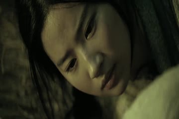 The Assassins Dubbed in Hindi