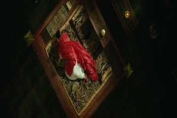 The Assassins Dubbed in Hindi