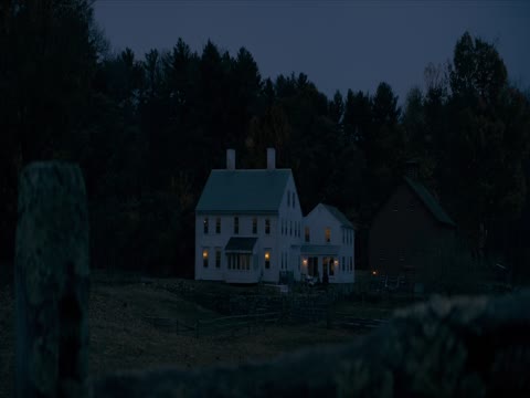 The Beekeeper 2024 Dubbed Hindi