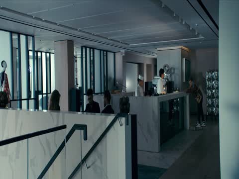 The Beekeeper 2024 Dubbed Hindi