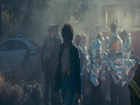 The Beekeeper 2024 Dubbed Hindi