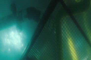 The Burning Sea 2021 Dubb in Hindi