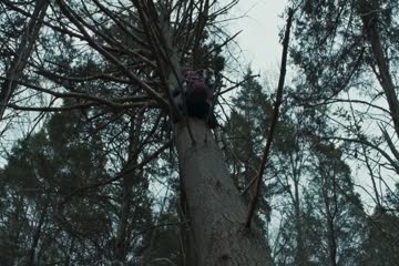 The Devil Below 2021 in Hindi Dubbed