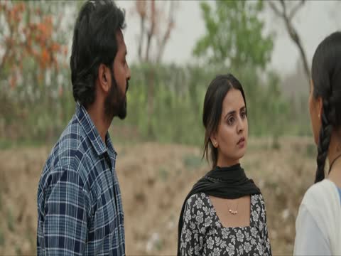 The Error 2025 Punjabi