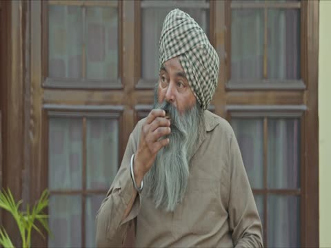 The Error 2025 Punjabi