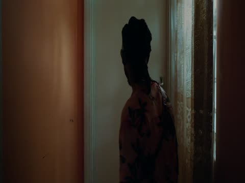 The Fix 2024 Dubb in Hindi