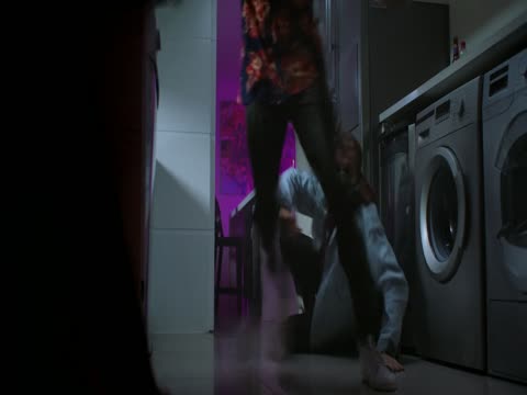 The Fix 2024 Dubb in Hindi