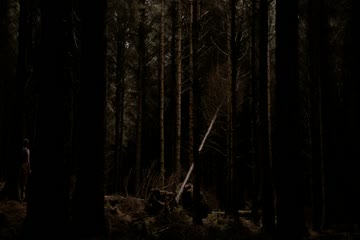 The Hole in the Ground 2019 in Hindi