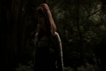 The Hole in the Ground 2019 in Hindi