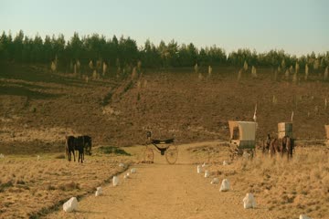 The King is Man 2021 Brip dubb in hindi