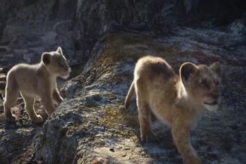 The Lion King 2019 Hindi dubbed