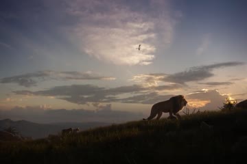 The Lion King 2019 Hindi dubbed