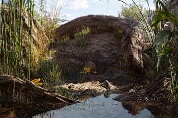 The Lion King 2019 in english