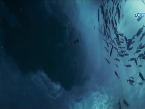 The Little Mermaid 2023 Hindi Dubb