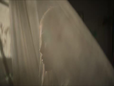 The Lost Flowers of Alice Hart 2023 Dubb Hindi