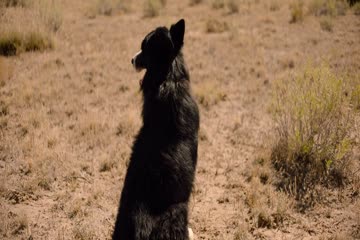 The Marksman 2021 in Hindi dubbed