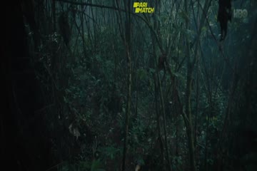 The Mercy of the Jungle 2018 Dubb in Hindi