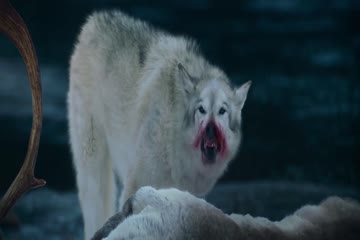 The Mother 2023 Hindi Dubbed