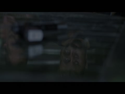 The Old Guard 2 2025 Hindi Dubbed