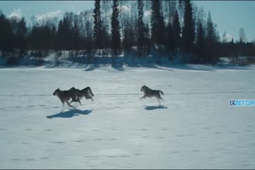 The Pilot A Battle for Survival 2021 in hindi dubb