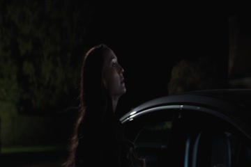 The Protege 2021 in hindi dubbed