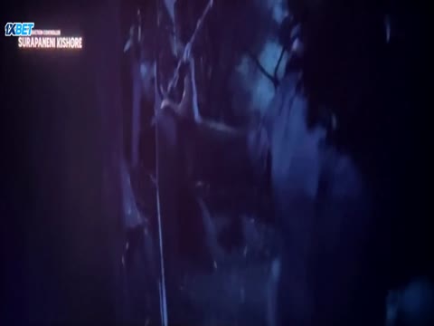 The Raja Saab 2026 in Hindi