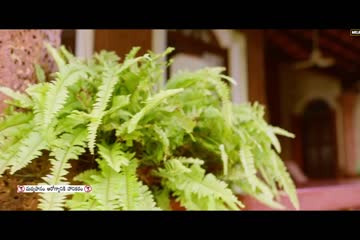 The Rose Villa 2021 hd prnt in hindi
