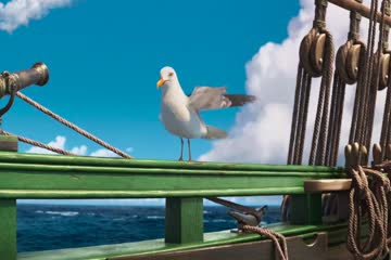 The Sea Beast 2022 dubb in Hindi