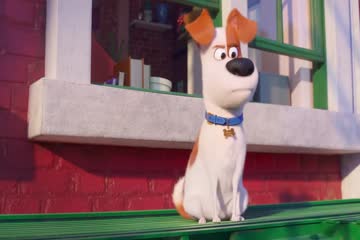 The Secret Life of Pets 2 2019 Dubb in Hindi