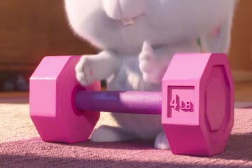 The Secret Life of Pets 2 2019 Dubb in Hindi