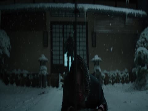 The Shadow Strays 2024 Hindi Dubbed