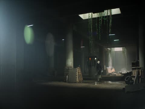 The Shadow Strays 2024 Hindi Dubbed