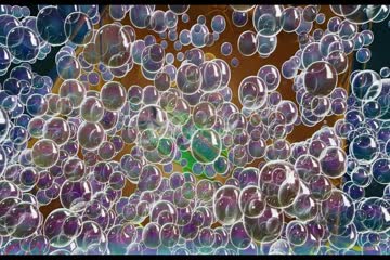 The SpongeBob Movie Sponge on the Run 2020 in Hindi