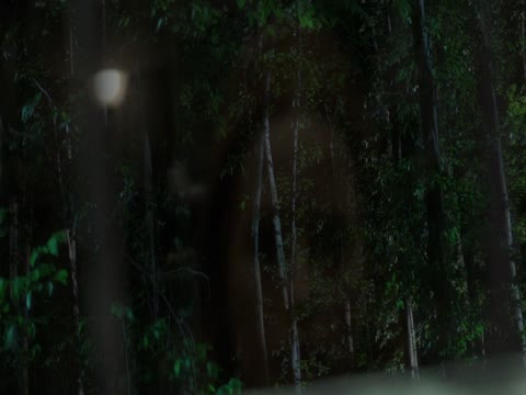 The Strangers Chapter 1 2024 Hindi Dubb