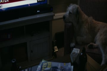 The Tomorrow War 2021 dubb in hindi