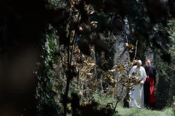 The Two Popes 2019 Dubbed in Hindi