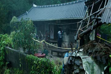 The Wailing 2016 Hin Hindi