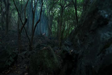 The Wailing 2016 Hin Hindi